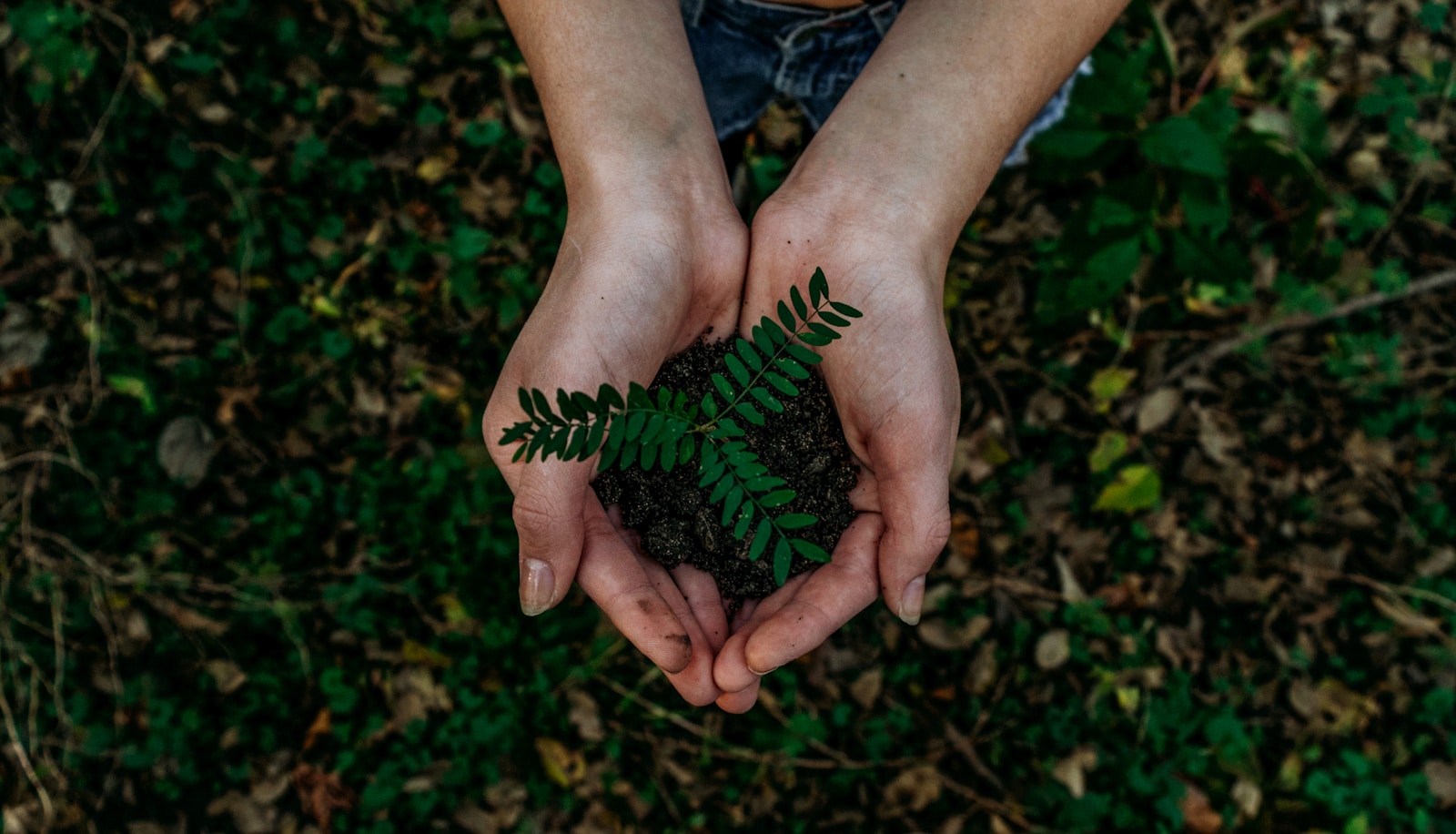 Volunteers caring for the environment outdoors