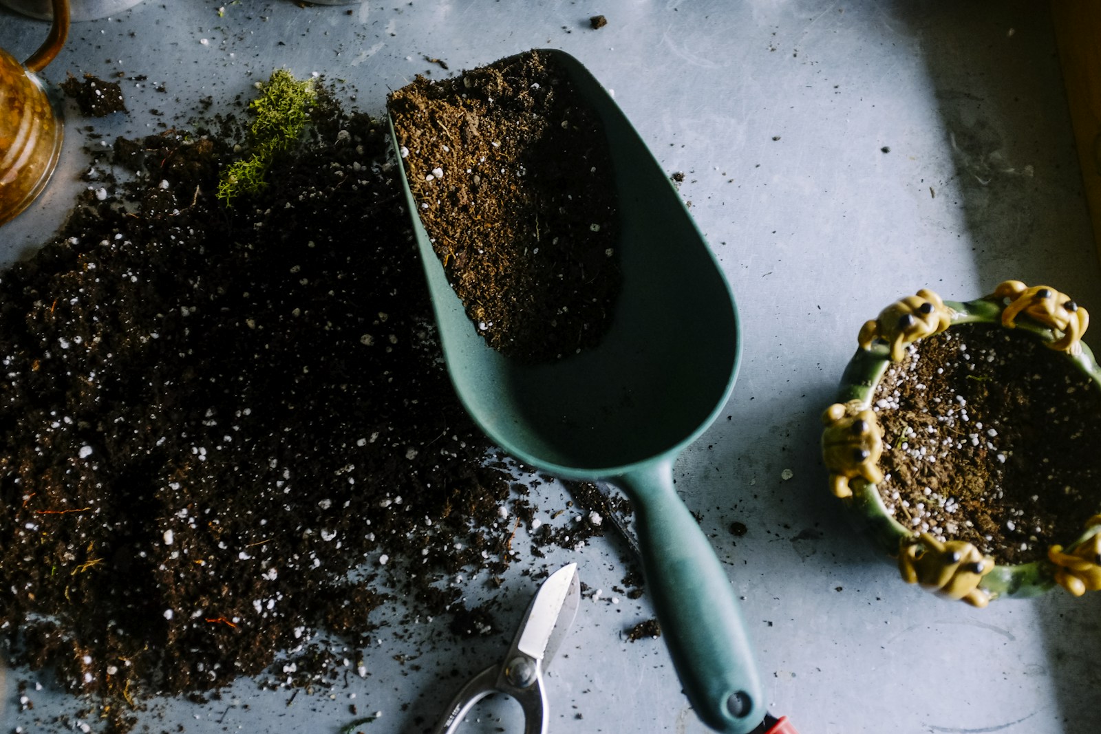 People planting and tending young plants together